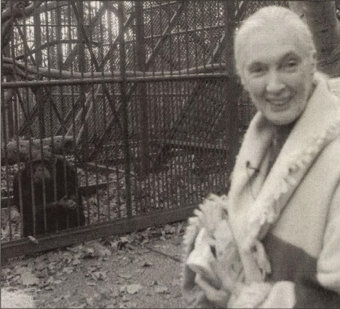 Jane Goodall 2003