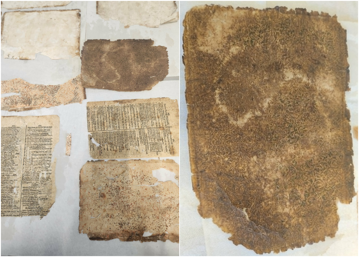 Bandulavic Pisctole collage