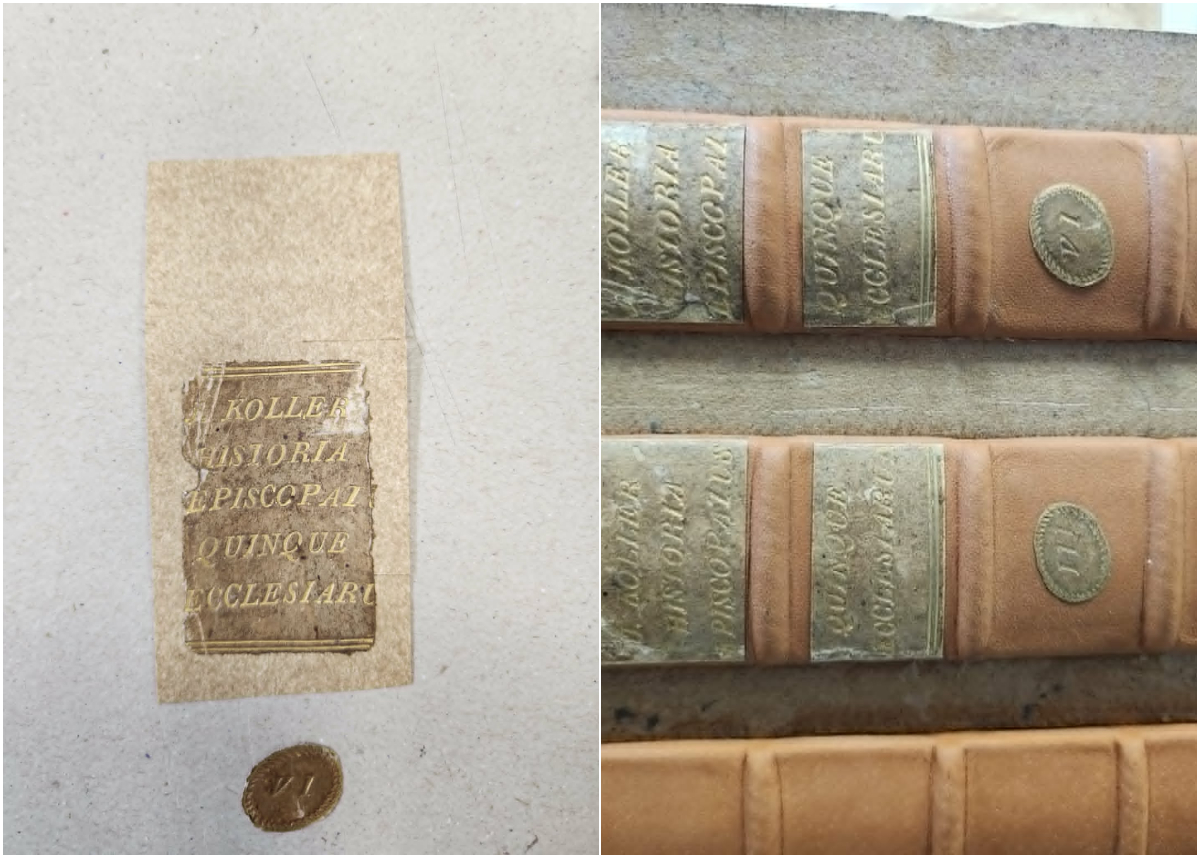 Koller cimkek collage