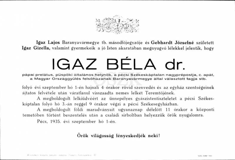Dr_Igaz_Bela_4313103_00159_mormon.jpg